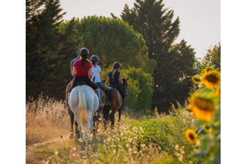 Écuries d'en sans ©TourismeHautsTolosans