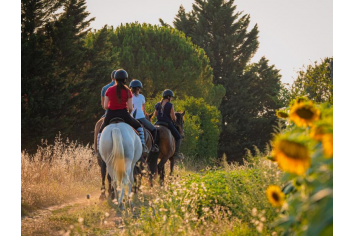  Cadours - Activités - Club Equestre ©SIDrone - Tourisme Hauts Tolosans